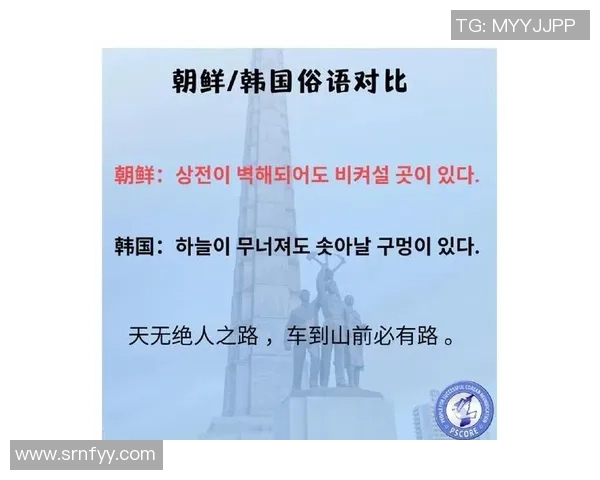 日本与韩国20年对比分析探讨两国发展与文化差异