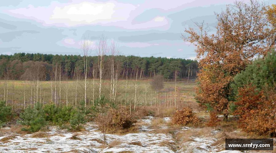 无畏风雨，只为荣耀！